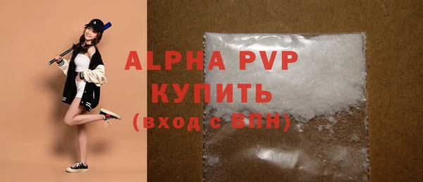 стафф Алексин