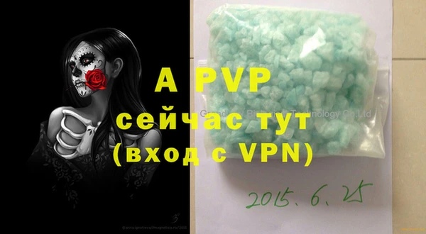 стафф Алексин