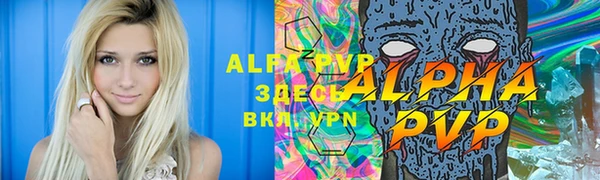 стафф Алексин
