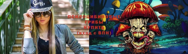 ПСИЛОЦИБИНОВЫЕ ГРИБЫ Алзамай