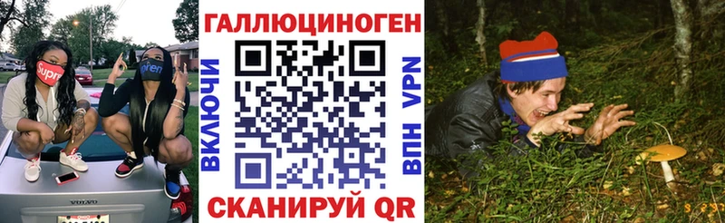 Галлюциногенные грибы ЛСД  где можно купить   Стародуб 